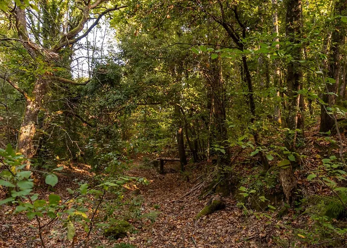 Domek letniskowy Iri.mia Nature *